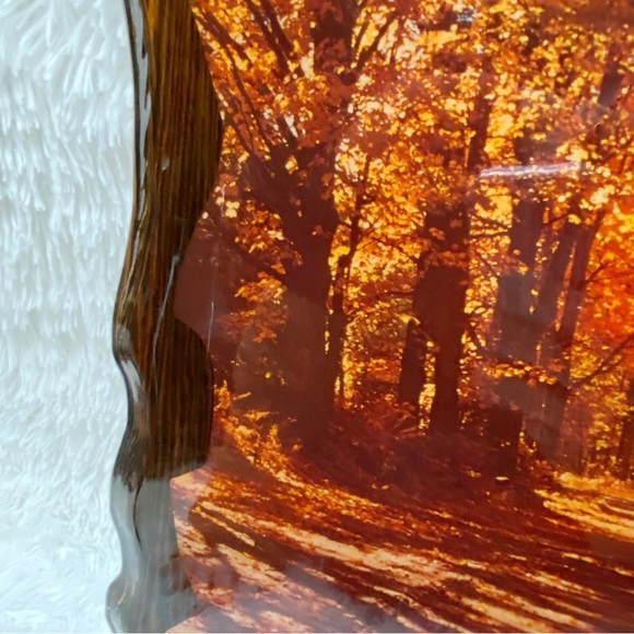 Vintage 70’s Groovy Wood Lacquered Woods Forrest Image Wall Hanging Plaque - Picture 11 of 11